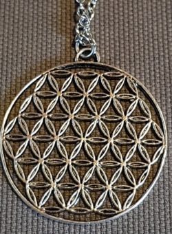 apofyliet.nl - flower of life