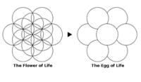 Egg of Life