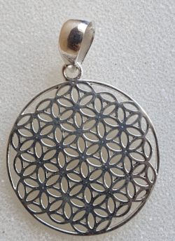 apofyliet.nl - flower of life