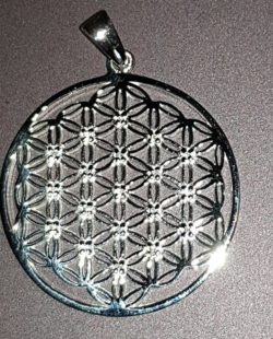 spofyliet.nl - flower of life zirkoon