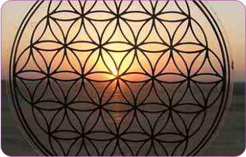 flower of life stickers